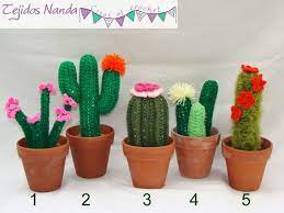 Nacida en el norte argentino y amante de su cultura, sus costumbres y tradiciones, no podían faltar en casa para la base del cactus: Cactus Tejidos Al Crochet Mla F 3440735725 112012 Jpg 800 600 Crochet Cactus Crochet Plant Crochet Flowers