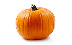 https://encrypted-tbn0.gstatic.com/images?q=tbn:ANd9GcRVhYOxLRtb7ZGeW2BNV9htK7RyKmQiXJf6JgxB5eiqQwhZGb-l