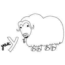 Yaks are mainly found on the tibetan plateau and were domesticated by humans about 7,000 years ago. Y For Yak Coloring Page Babadoodle