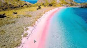 Destinasi Wisata Pink Beach di Indonesia - ZALORA Thread