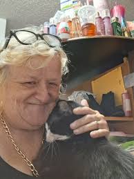 Lawn mowing services in Canandaigua, NY area