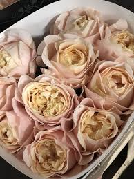 Jade palace lynchburg, va 24502 authentic chinese cuisine available for delivery and carry out. Unforgettable Vip Rose Flower Decorations Rose Unforgettable