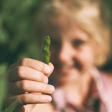 Looking Back: Seven Soybean FarmHERs to Celebrate in April