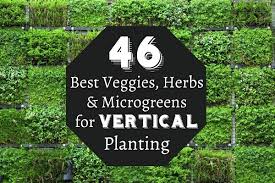 A vertical vegetable garden is the ideal way to grow a lot of food in a small space. 46 Best Veggies Herbs Microgreens For Vertical Planting