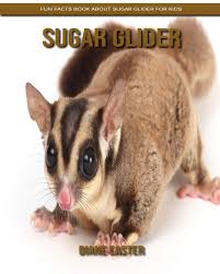 Sugar Glider Fun Facts Book About Sugar Glider For Kids Easter Diane 9798609418609 Amazon Com Books