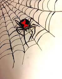 Click the image, for more art by kleevia. Black Widow Spider Drawing By Shylee Charlton