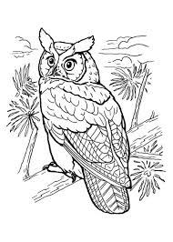 Download these printable coloring pages for adults. Owl Full Of Details Owl Full Of Details From The Gallery Kids Animals Just Color Discover All Our In 2020 Animal Coloring Pages Owl Coloring Pages Owls Drawing