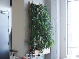 Get inspired now to create your own vertical garden. Self Watering Vertical Garden Models Bring Greenery Indoors