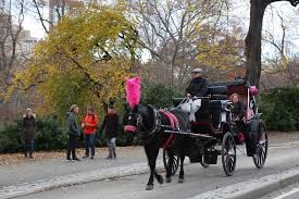 It's a completely free picture material come from the public internet and the real upload of users. Horse Carriage Tour Drop Off At The Boat House Restaurant 2021 New York City