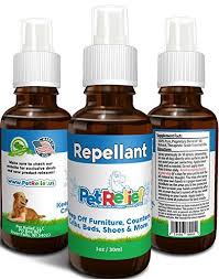 Dog Repellent Spray Pet Training Spray Stop Dog Chewing Lifetime Warranty 30ml Natural Dog Deterrent Ke Stop Dog Chewing Socializing Dogs Dog Upset Stomach