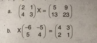 Jika X Matriks Berordo 2 X 2 Tentukan Matrils X Yang Memenuhi Persmaan Berikut Brainly Co Id