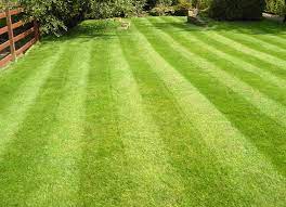Maybe you would like to learn more about one of these? Lawn Care Horizon Lawn Care Landscaping Youngstown Ohio
