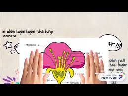 Tugas praktek ipa kelas 6. Praktek Ipa Sederhana Untuk Sd Kelas 6 Cara Golden