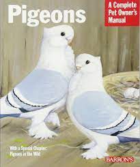 Buy Pigeons Complete Pet Owner S Manual Book Online At Low Prices In India Pigeons Complete Pet Owner S Manual Reviews Ratings Amazon In