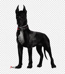 Cụ bà bị chó pit bull tấn công điên cuồng, cắn rách cả hai tai. Cho Pitbull Png Pngegg