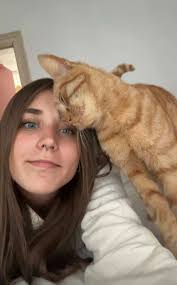 FOUND!!!!!!! BEEN ON SOME ADVENTURE BUT HOME SAFE ❤️❤️❤️ Nemo is still  missing!!! This is so out of character for him. He is nosey as anything  though so could I please ask