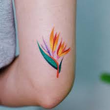 Arm Bird Of Paradise Flower Tattoo 70 Tattoo Design Ideas For Girls Click Here For Larger Image Rose Tattoo Arm Tattoos Wrist Tattoos Forearm Tattoos F Girl Arm Tattoos Cute Tattoos Tattoos