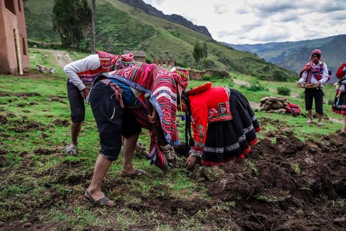 Turismo vivencial Cusco, Un viaje asombroso a los Andes - 2026