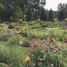 Mandala Meditation Practice With Plants Creating Sanctuary Garden Therapy Sacred Garden Meditation Garden Mandala Meditation