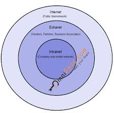 The term is used in contrast to internet, a network between organizations, and instead refers to a network within an organization. Internetworks Internet Intranet And Extranet