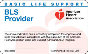 In this part of the article, you will be able to access the.pdf file of bls (basic life support) provider manual pdf by using our direct links. Healthcare Bls Online Skills Session Northeast Medical Institute