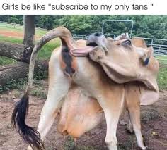Jan 26, 2021 · 70% of top onlyfans girls started with webcamming. Only Fans Memes Posts Facebook