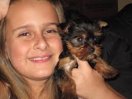 Kerrie Engelmann's Instagram, Twitter & Facebook