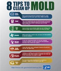 In order to grow, mold requires oxygen, moisture, and organic material. Tips On Cleaning Mold After A Flood Blogs Cdc