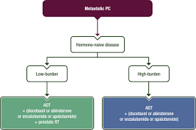 Despite this, pancreatic cancer is among the deadliest types of cancer, which is why it's extremely important to know and recogni. Prostate Cancer Esmo Clinical Practice Guidelines For Diagnosis Treatment And Follow Up Annals Of Oncology