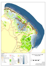 Image result for Pentarhopalopilia umbellulata