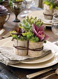 White Birch With Succulents Succulent Table Decor Succulent Wedding Succulents