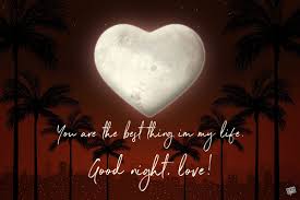 Good night my love, i love, and i want you to know that. Good Night My Love 100 Messages A Kiss Before You Sleep
