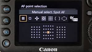 images?q=tbn:ANd9GcRViGCuk6tJfZDBXj17hEO