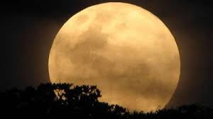 Neste espaço branco de madrugada e lua cheia, preciso falar, e mais do que falar, preciso dizer. Frases Sobre A Lua A Lua Brilha Para Todos