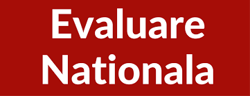 Ministerul educatiei a publicat teste de simulare online a examenelor. Rezultate Evaluarea NaÅ£ionalÄƒ 2020 Liceul Tehnologic Ion Creanga Curtici