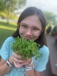 Patricia Swain is holding our harvest of Sorrel today for jelly. From  #oururbangarden!