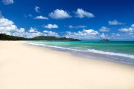 The Beach We Got Married On Angel Bay Beach Hawaii Hawaii Beaches Hawaii Beach Wedding Beautiful Beaches