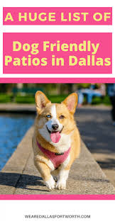 All animals at city of fort worth adoption centers have had a health and temperament assessment and have been deemed adoptable by a licensed veterinarian. Adopting Dallas Dog Archives We Are Dallas Fort Worth