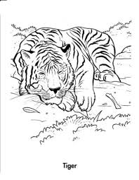As majestic as this tiger looks, sadly the indochinese tiger species are on the decline and categorized as endangered tiger and cub coloring page. 32 Free Tiger Coloring Pages Printable