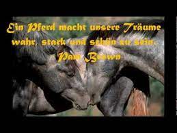 Die Schonsten Spruche Zitate Und Weisheiten Uber Pferde Youtube