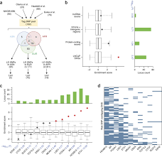 Modulation of long noncoding RNAs by risk SNPs underlying genetic  predispositions to prostate cancer | Nature Genetics