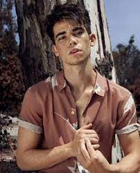 Well, you don't have to look any further because we are going to guide you. Rip Cameron Boyce Wallpapers Wallpaper Cave