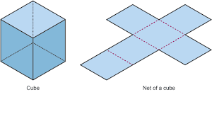 Image result for 3d nets