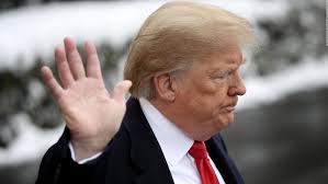 Del miedo a las arañas