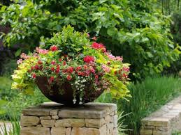 Container Gardening Ideas Garden Containers Container Gardening Plants