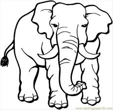 Here are fun free printable elephant coloring pages for children. Elephant Coloring Pages Coloring Home