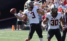 Image result for Hubbardochloa