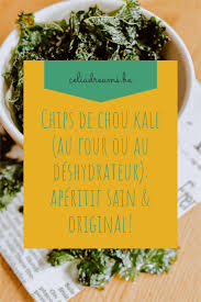 Chips De Chou Kale Au Four Ou Au Deshydrateur Aperitif Sain Original Recept In 2020