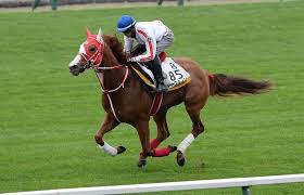 追加日(降順) 追加日(昇順) 価格が低い順 価格が高い順 ランダム. N Jnhkdjne3aem