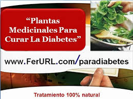 Plantas que curan y sanan la diabetes. Plantas Medicinales Para Curar La Diabetes Naturalmente Video Dailymotion